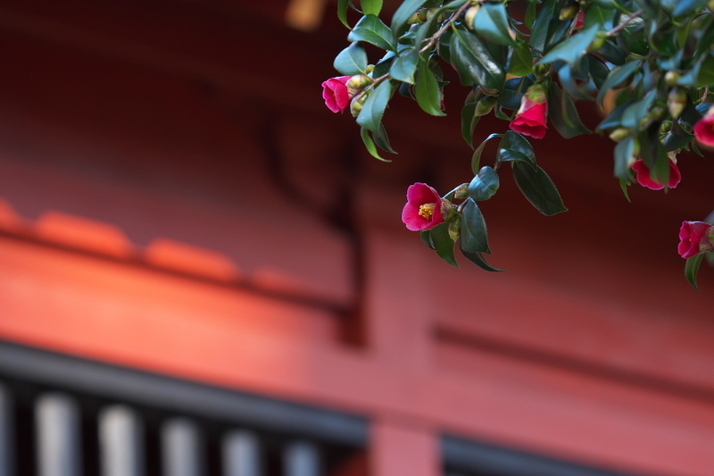 f:id:keihirota:20210228202846j:image