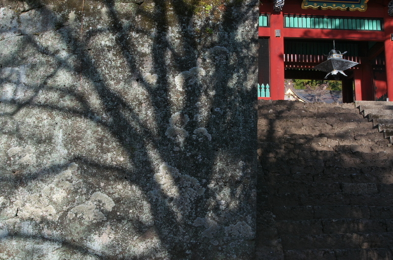 f:id:keihirota:20210309221908j:image