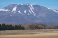 [浅間山][浅間][カラマツ][草越][御代田町]浅間山