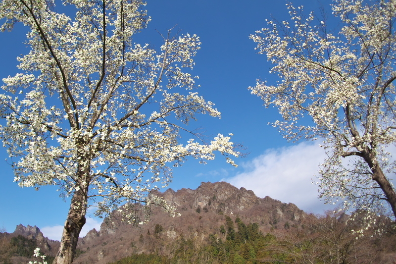 f:id:keihirota:20210322184930j:image