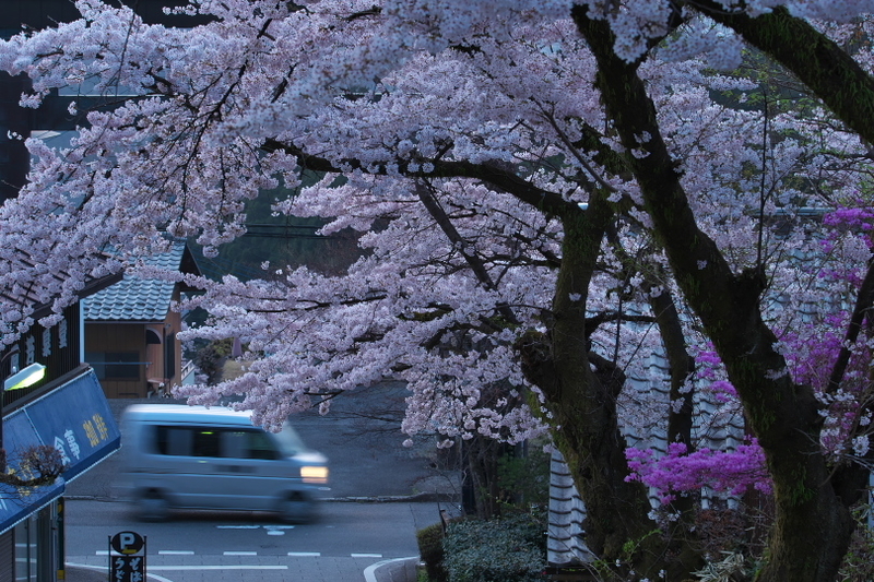 f:id:keihirota:20210406224117j:image