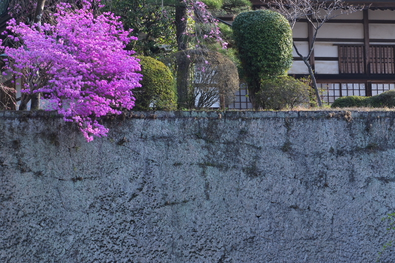 f:id:keihirota:20210414205909j:image