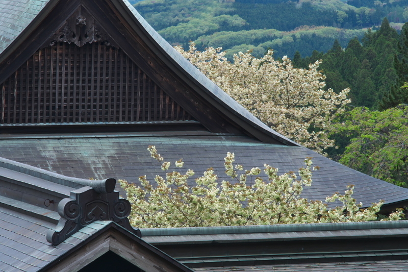 f:id:keihirota:20210414210716j:image