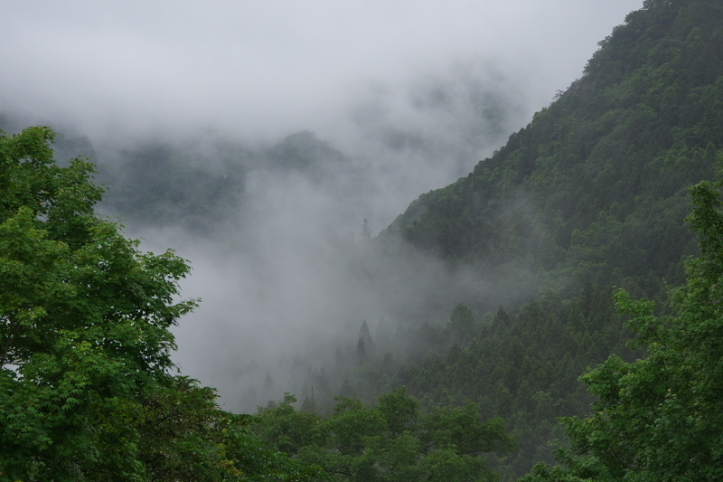 f:id:keihirota:20210604210611j:image