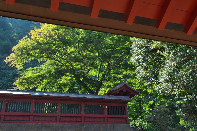 f:id:keihirota:20210912175603j:image