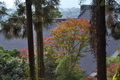 [古寺][古刹][本堂][補陀寺][新堀]古寺