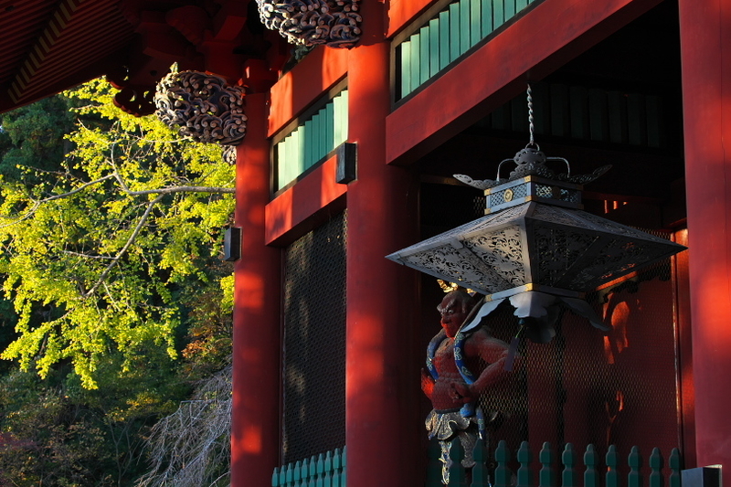 f:id:keihirota:20211115223025j:image