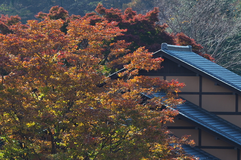 f:id:keihirota:20211118225219j:image