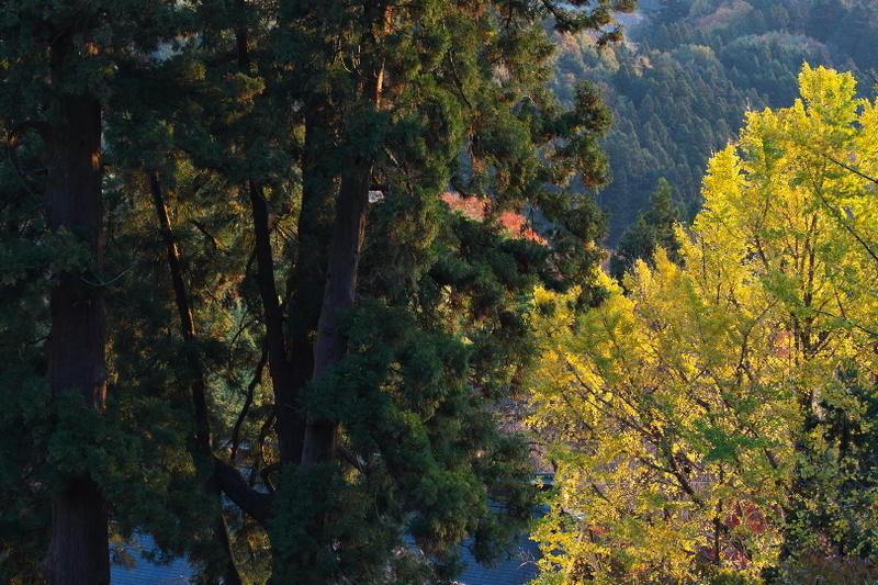 f:id:keihirota:20211122214518j:image