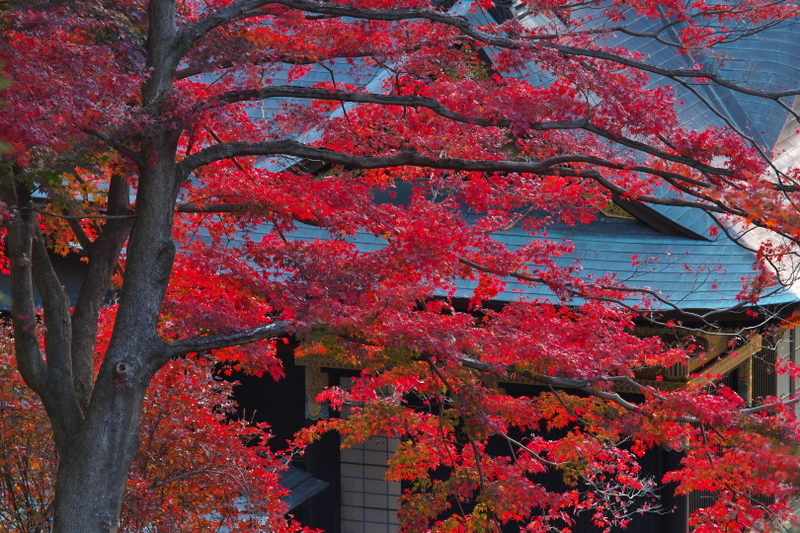 f:id:keihirota:20211124205114j:image