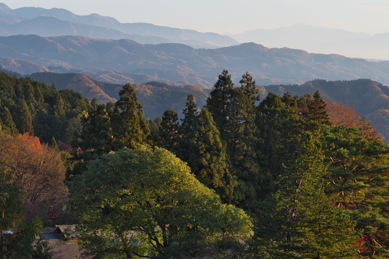 f:id:keihirota:20211130193442j:image