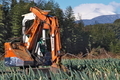 [ネギ畑][重機][浅間山][農免西口][下増田]ネギ畑