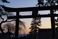 [迎春][銅鳥居][鳥居][夜明け][妙義神社]迎春