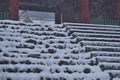 [朝から雪][雪][石段][総門][妙義神社]朝から雪