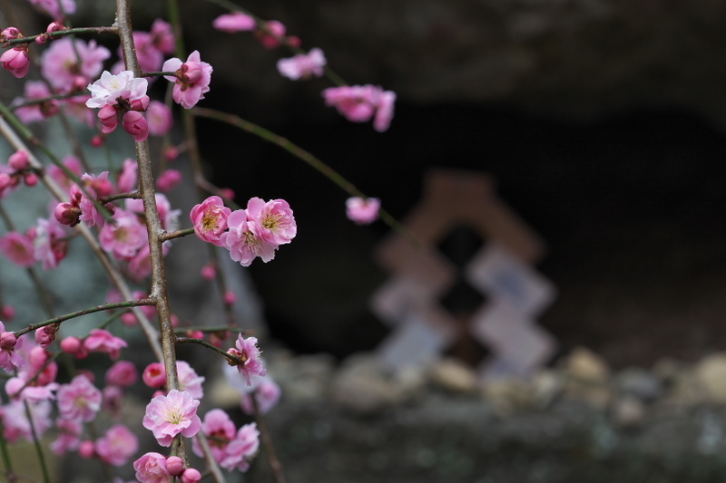 f:id:keihirota:20220330210008j:image
