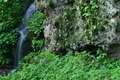 [処暑][沢水][清水][せせらぎ][妙義神社]処暑