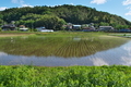 [田んぼ][田園][水田][水鏡][城山]田んぼ