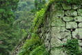 [石垣][境内][旧寺域][城郭][妙義神社]石垣