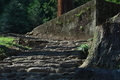 [白露のころ][石段][愛宕社][合流部][妙義神社]白露のころ