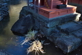 [寒さが増すころ][弁天池][薄氷][氷][妙義神社]寒さが増すころ