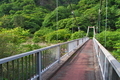 [吊り橋][橋][碓氷川][麻苧の滝][原]吊り橋