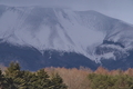[浅間山][浅間][冠雪][カラマツ][追分]浅間山
