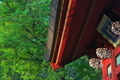 [春の総門][総門][イチョウ][銀杏][妙義神社]春の総門