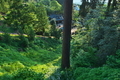 [春の総門][境内][石段][男坂][妙義神社]春の総門