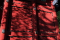 [春の総門][総門][影][老松][妙義神社]春の総門