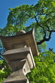 [小満のころ][石灯籠][灯籠][しだれ桜][妙義神社]小満のころ