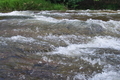[碓氷川][利根川水系][一級河川][あまぬま][八城]碓氷川