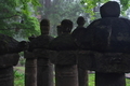 [夏至のころ][灯籠群][灯籠][石灯籠][妙義神社]夏至のころ
