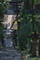 [熊出没注意][参道][石段][男坂][妙義神社]