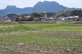 [妙義山][妙義][山里][田んぼ][古立]