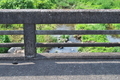 [後閑川][小川][ヨシ原][高欄][三ツ木橋]