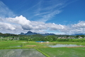 [田んぼ][田園][水田][妙義山][OT右岸]
