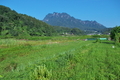 [妙義山][白雲山][休耕地][北山][大牛]