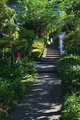 [参道][境内][古寺][不動寺][松井田]
