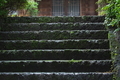 [石段][参道][境内][古寺][随応寺]