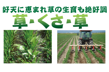 f:id:keihotrice:20151119181131j:image