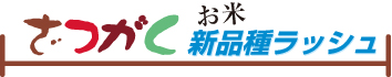 f:id:keihotrice:20151119182958j:image f:id:keihotrice:20151119182958j:image