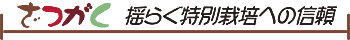 f:id:keihotrice:20151206155000j:image f:id:keihotrice:20151206155000j:image