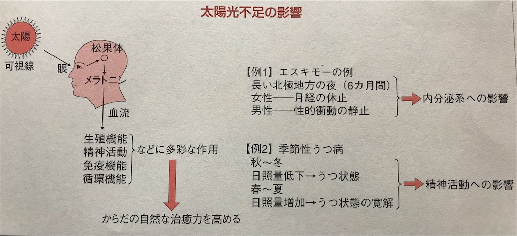 f:id:keiichi-s:20190611105956j:image f:id:keiichi-s:20190611105956j:image