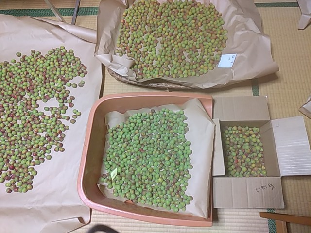 f:id:keiji05n:20210519112903j:image