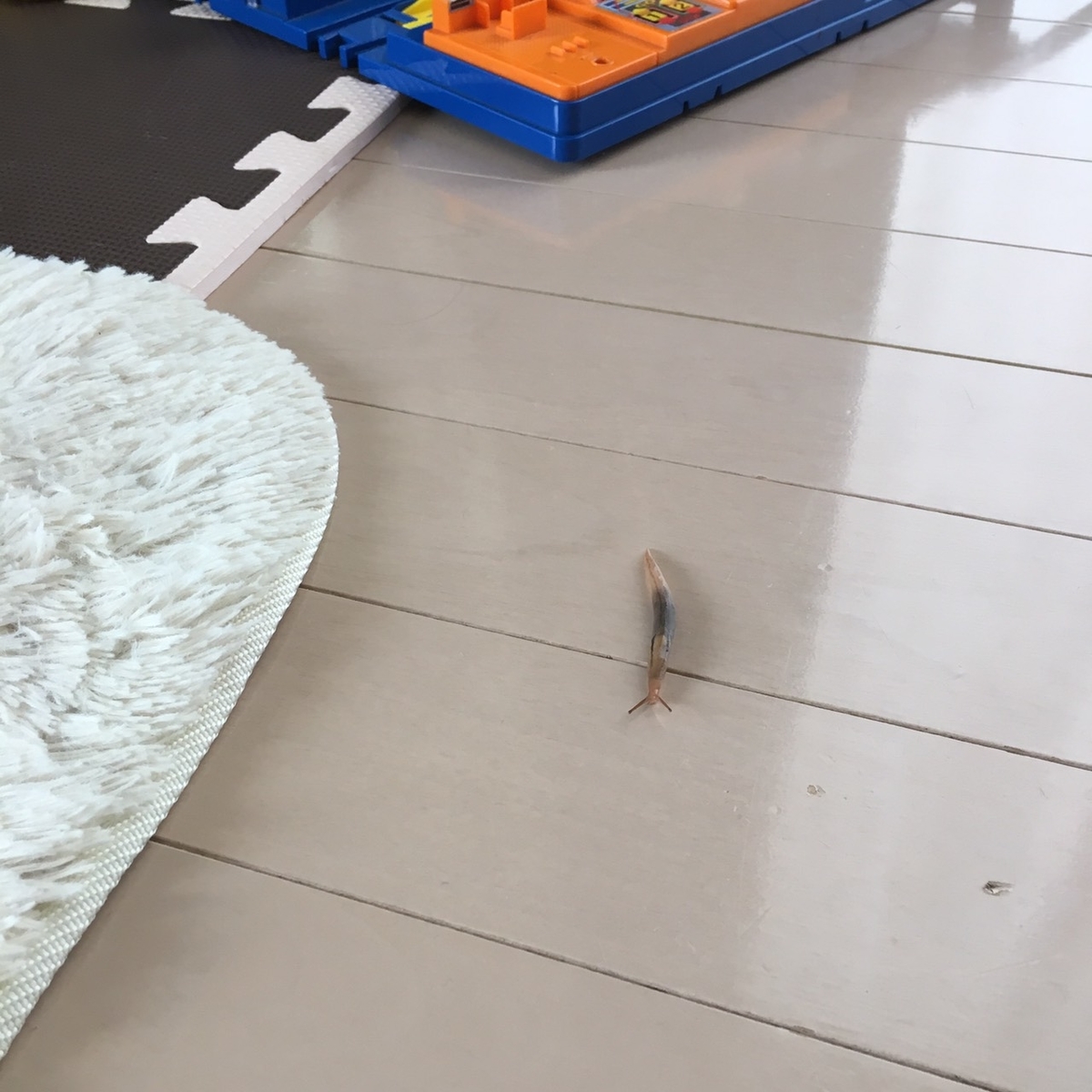 f:id:keijikuroda0720:20190523120318j:plain