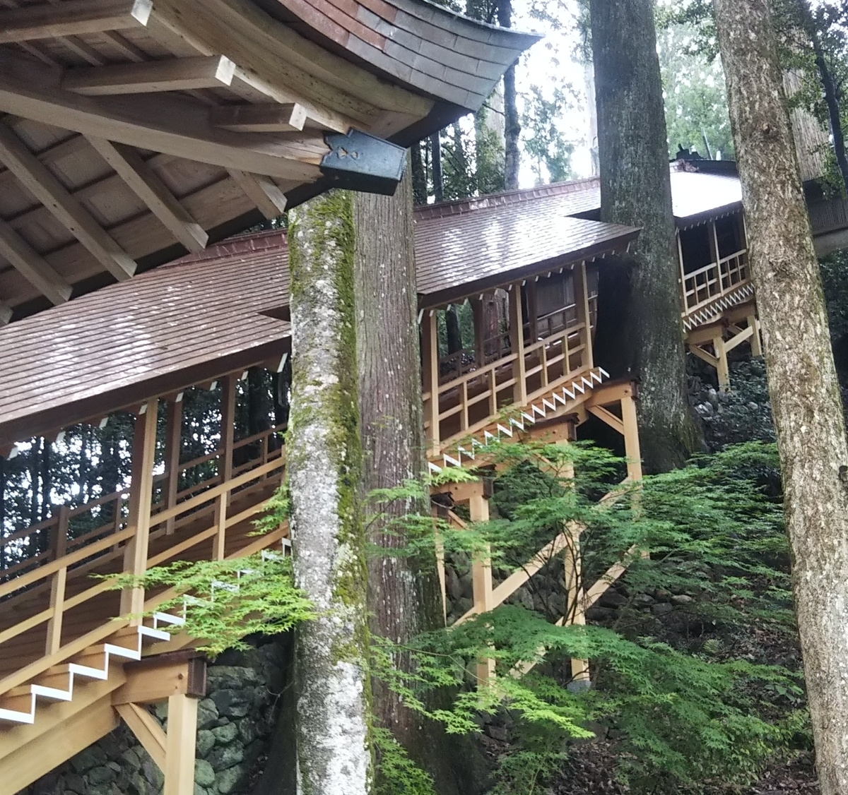 水の階 きざはし 丹生川上神社下社 奈良大学通信まよい鹿 水の階 きざはし 丹生川上神社下社 奈良大学通信まよい鹿