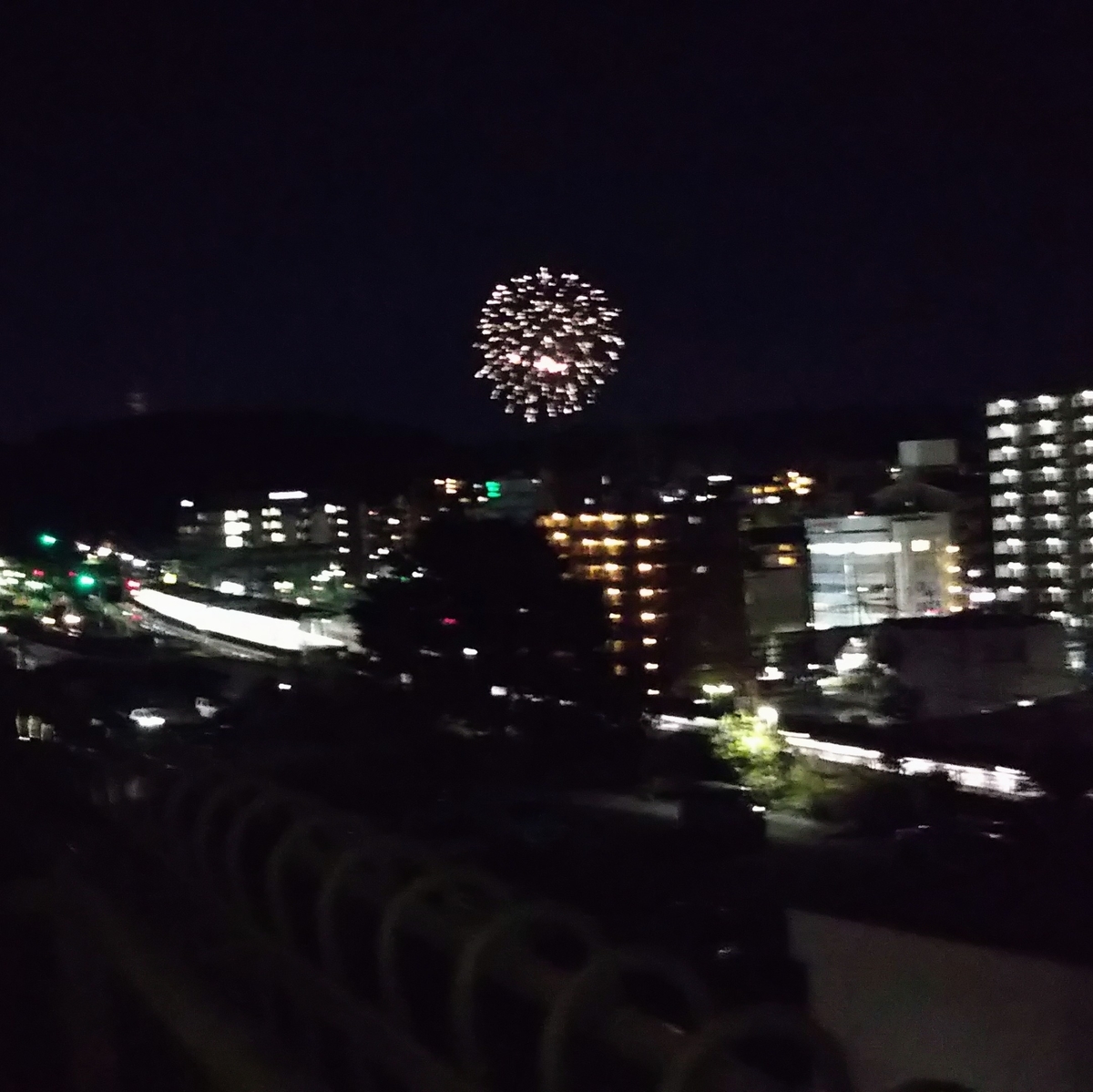 中原でなくとも鹿を逐う 言語伝承論 奈良大学通信まよい鹿