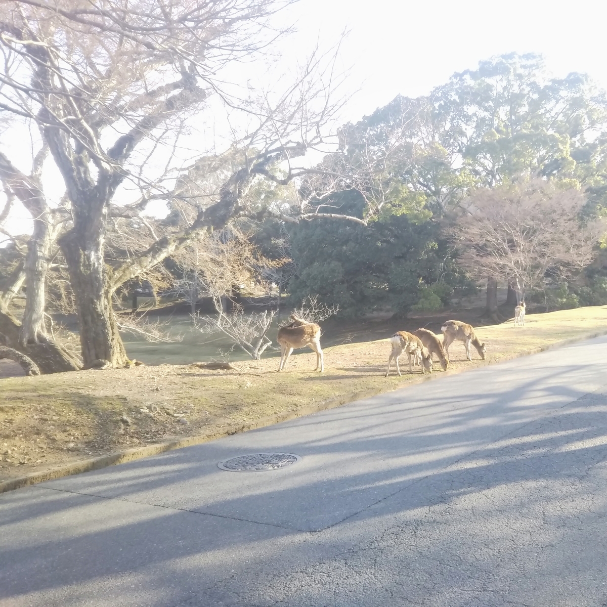 止と観とは互いに他を成立せしめて不離の関係にある お水取り逍遥 奈良大学通信まよい鹿