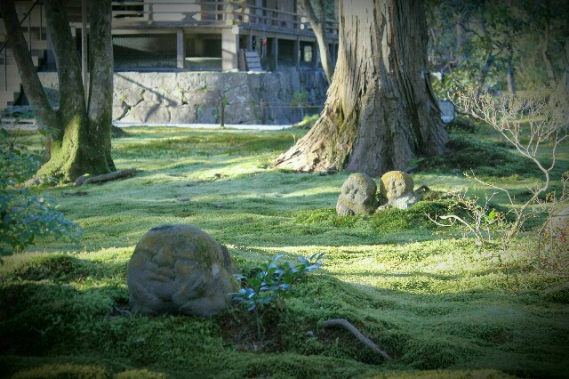 f:id:keikam:20160323124500j:image f:id:keikam:20160323124500j:image