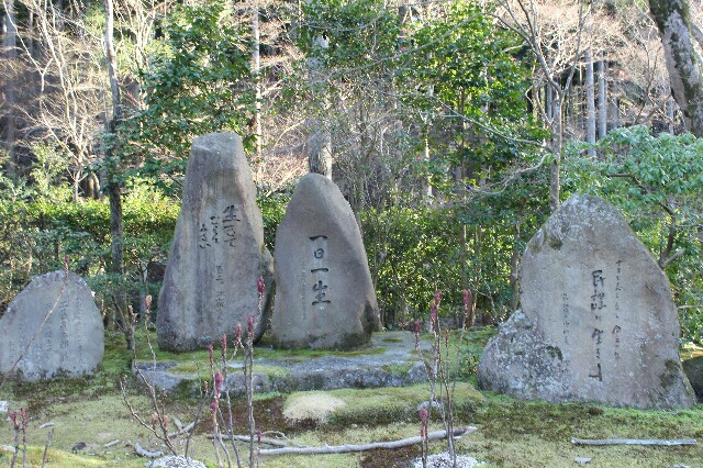 f:id:keikam:20160323125021j:image f:id:keikam:20160323125021j:image